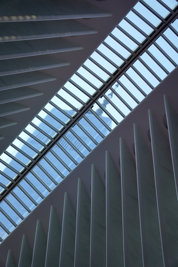 WTC through the Oculus