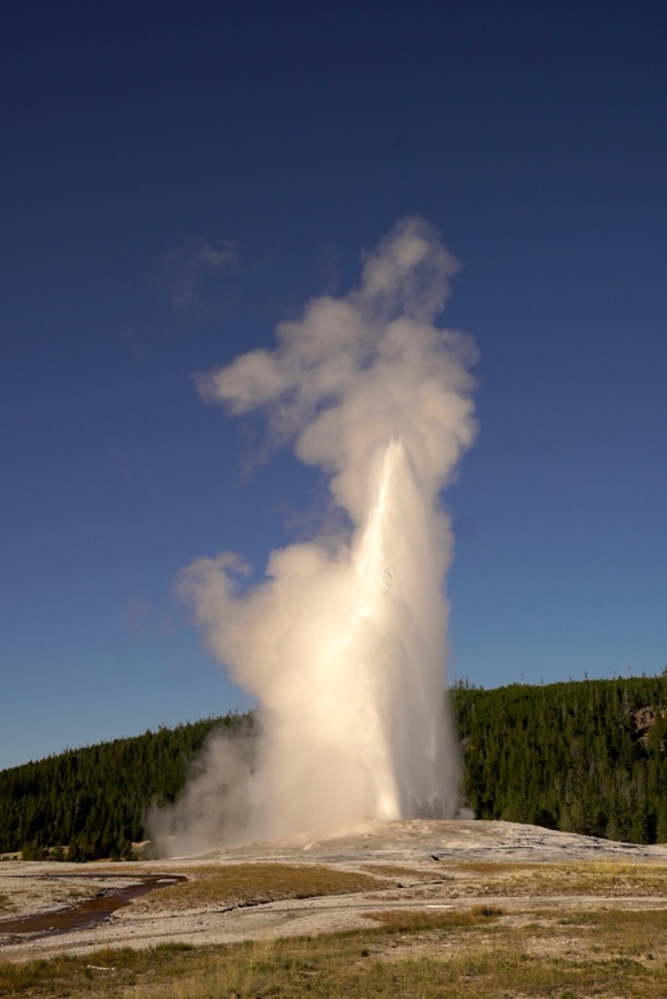 Old Faithful going off, faithfully as ever.