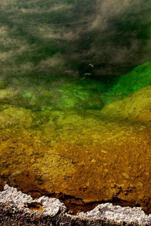 The Morning Glory geyser flaunting dramatic colors.