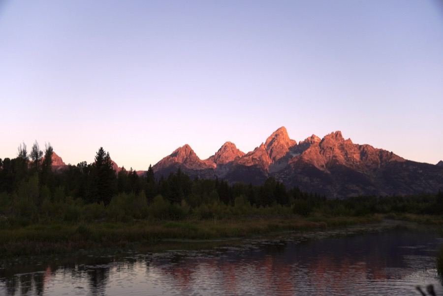 Sunrise at Schwabacher Landing, along with 1,000 other content creators (not pictured)